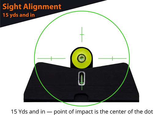 XS Big Dot Sight Picture on Glock or other pistols