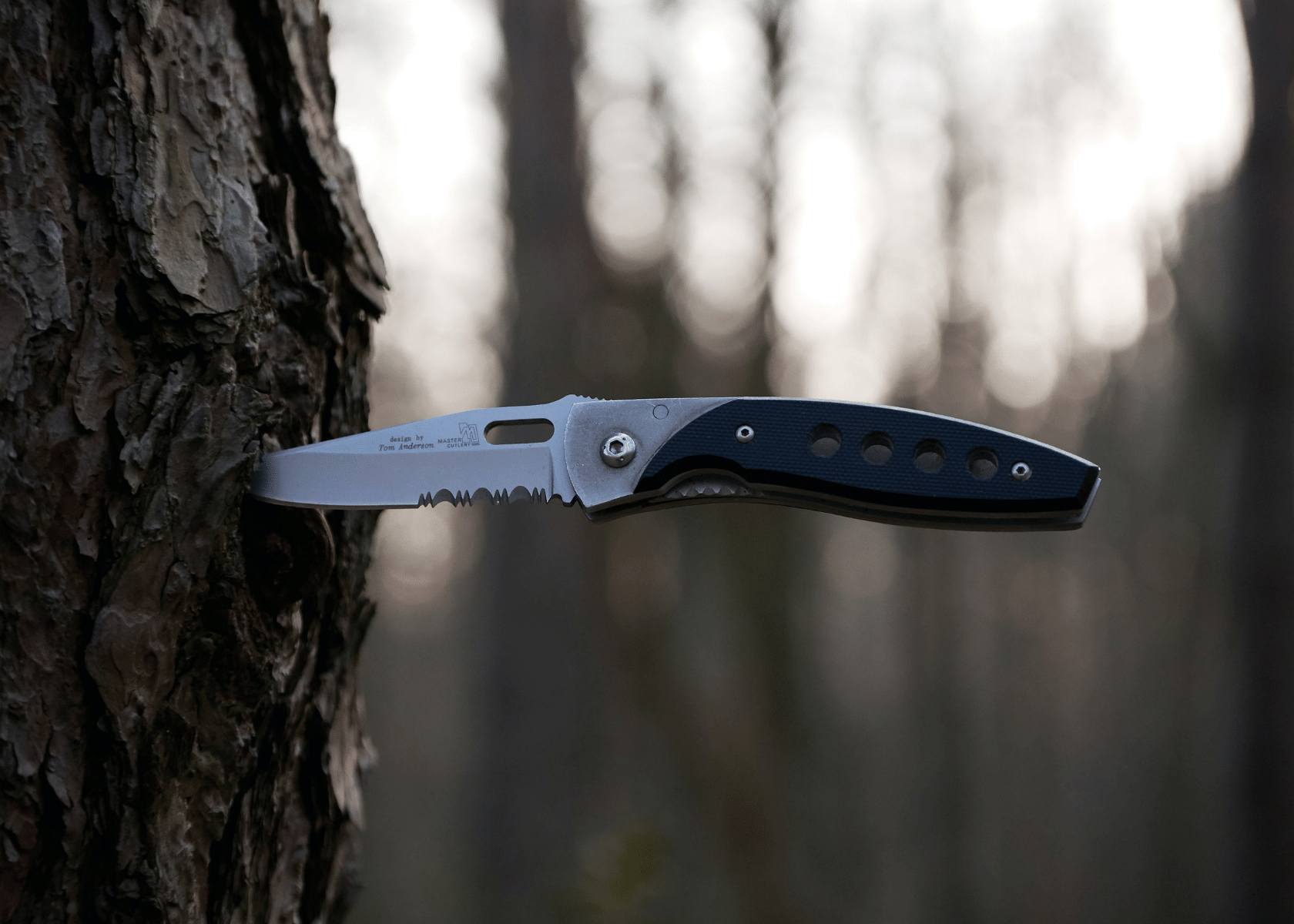 A stainless steel partially serrated knife stabbed into a tree in the woods