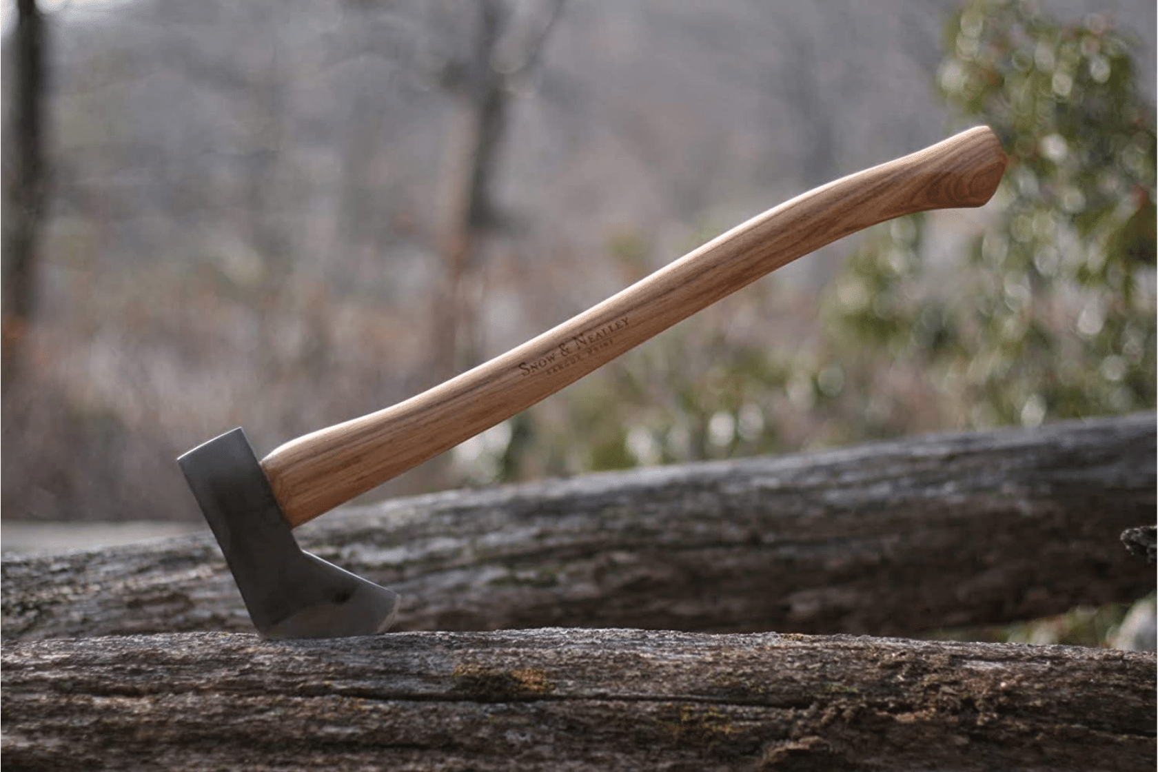 An axe stuck in a tree that has been cut in the woods