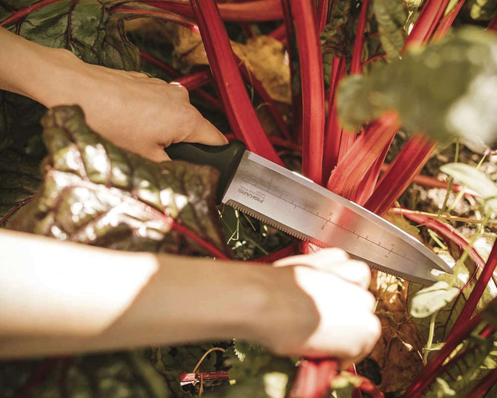 The dual edge and measuring ability of the Hori Hori makes it an important garden knife