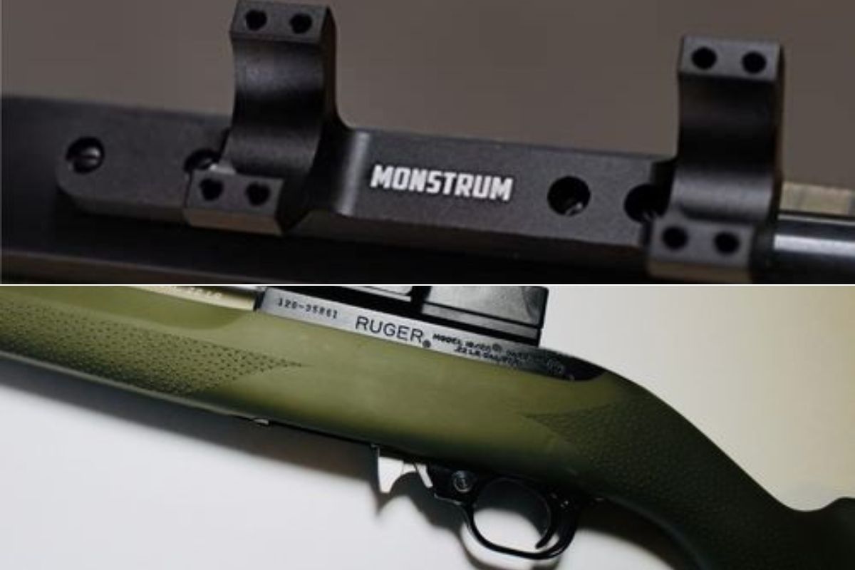 A OD green and black 10/22 with a red dot and a Monstrum mount on a rifle without a scope.