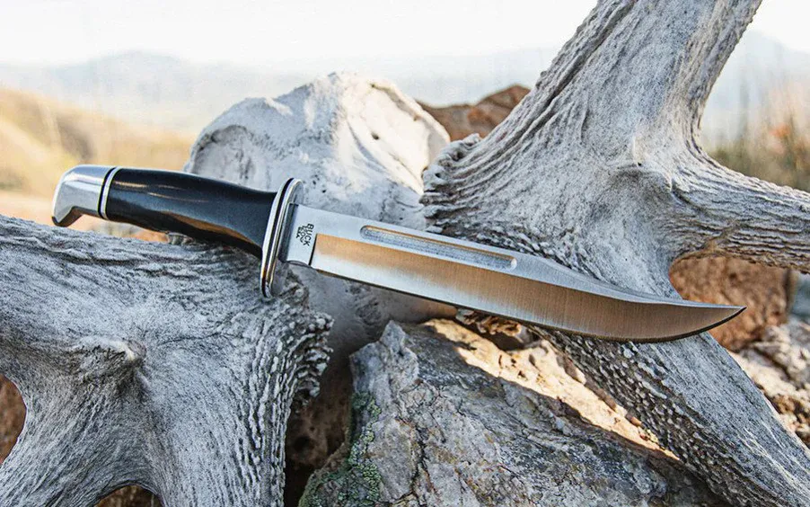 The Buck Bowie knife laying on a weathered tree stump and looking fine!