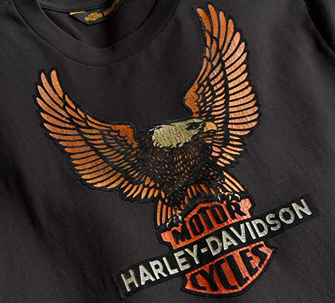 A vintage shirt with the eagle, with wings open, holding the Harley Davidson Bar and Shield.