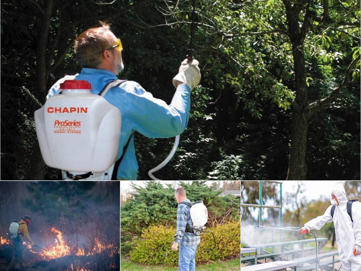 A man putting out a brush fire, one spraying shrubs, one cleaning bleachers, and one spraying trees.