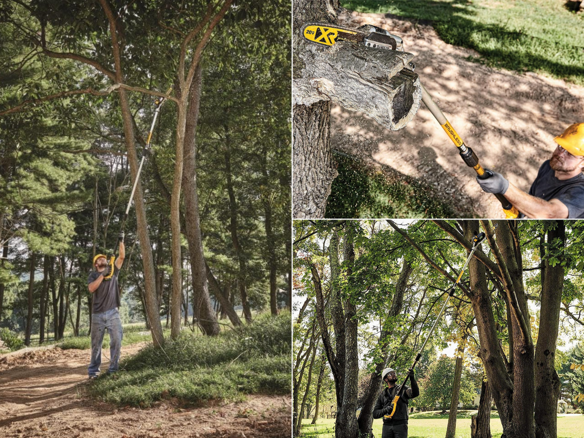 3 different views of a man using a DeWalt pole saw extended at different lengths.