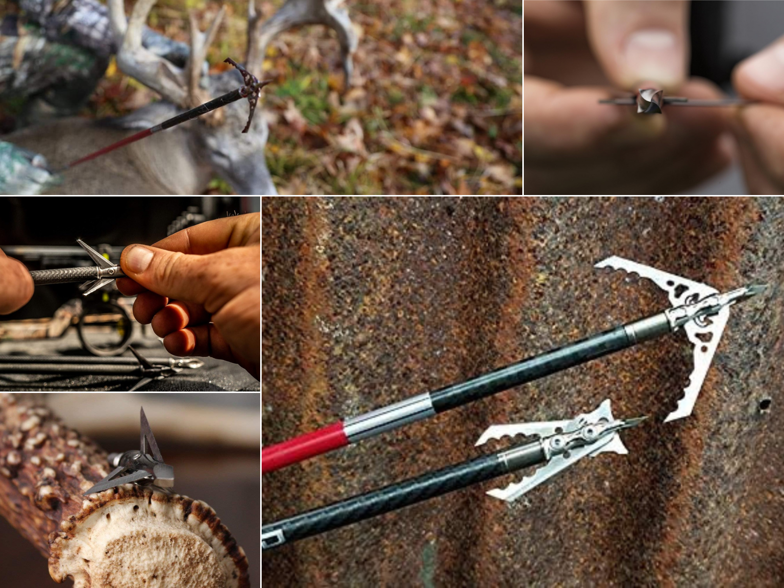 A man with his deer killed with a crossbow, and 4 pictures of different style broadheads.