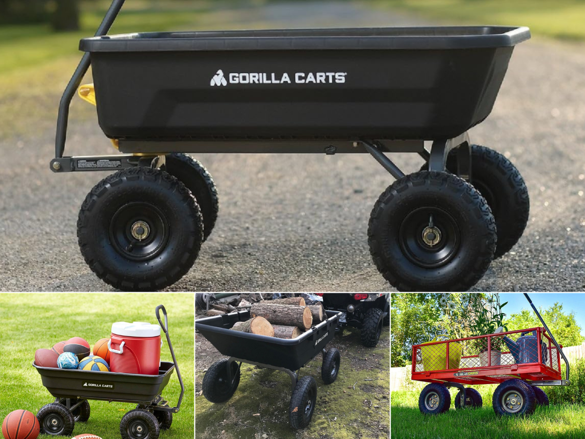 A Gorilla Cart on gravel, one loaded with balls and a cooler, one loaded with wood, and a steel car on flower duty.