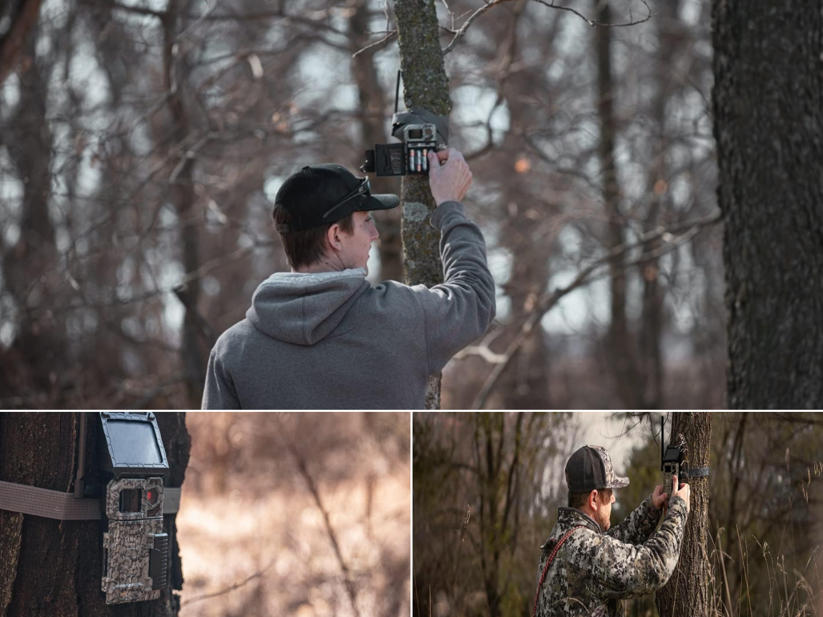 A man checking a trail cam, another man attaching a game cam to a small tree, and a solar trail camera on a tree.