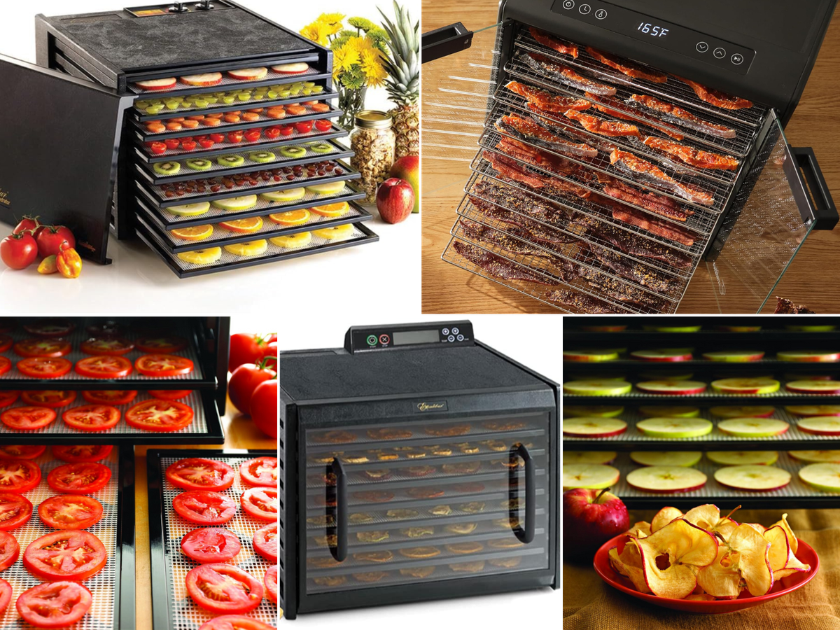 A dehydrator with tomatoes, another with meat, one with fruits, one with apple slices, and one closed with food inside.