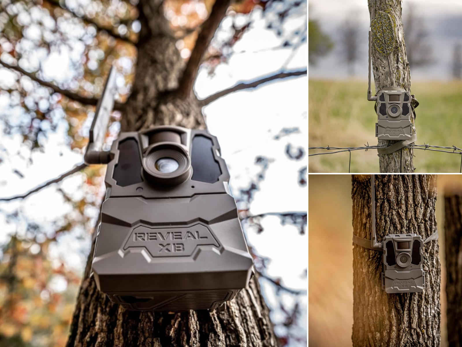 2 pictures showing how well Reveal cameras blend into the environment on trees, and another on a fence post.