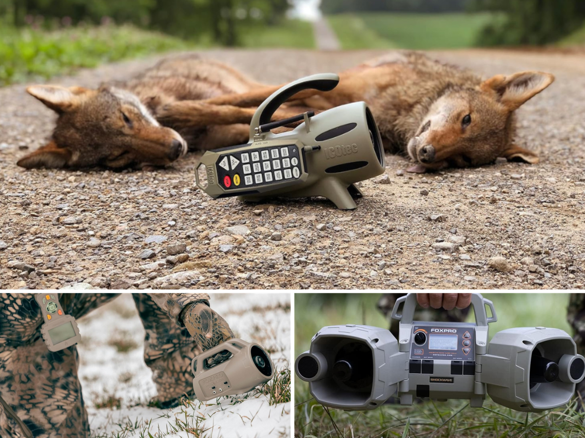 A caller sitting with 2 fresh kills, a man carrying a remote control caller, and a man setting up a dual speaker caller.